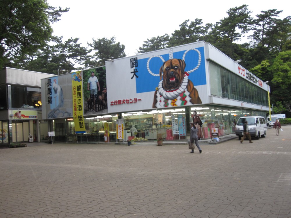 土佐闘犬センター